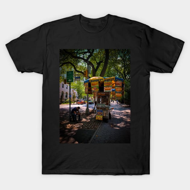 Fifth Ave Central Park Manhattan NYC T-Shirt by eleonoraingrid